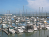 Boats docked at Pier 39