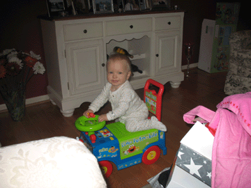 Riding on the Elmo Petmobile