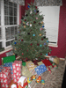 Our tree