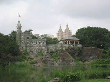 The view behind Turtle Pond