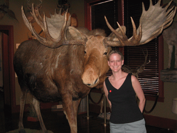 Amy and her moose