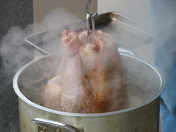 The turkey beginning to get fried