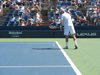 Nikolay Davydenko serving