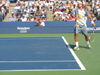 Feliciano Lopez serving