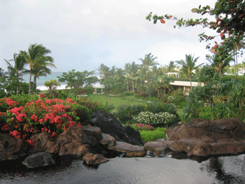 A view from inside the hotel