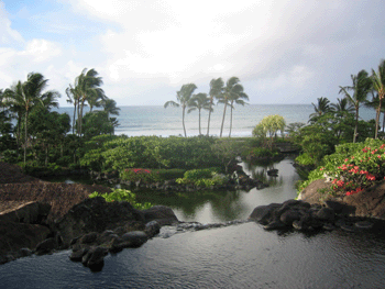 Looking out into the Pacific Ocean