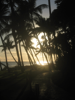 On the walk to Whalers Village