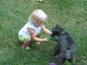 Sharing a toy with Missy