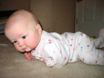 Sydney beginning to crawl